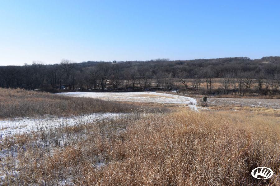 356 acres in Decatur County, Iowa