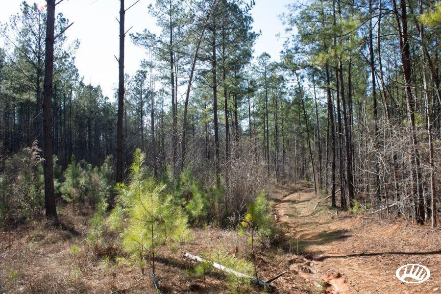 74 acres in Coosa County, Alabama
