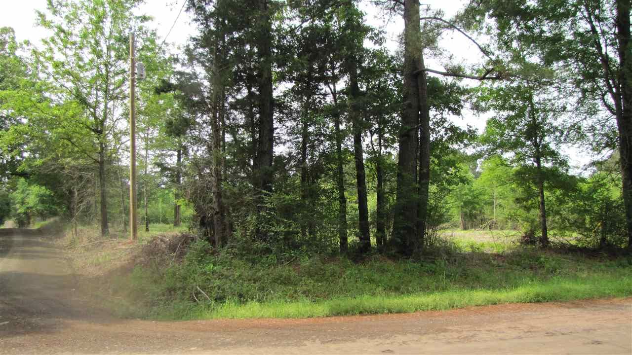11 acres in Panola County, Texas