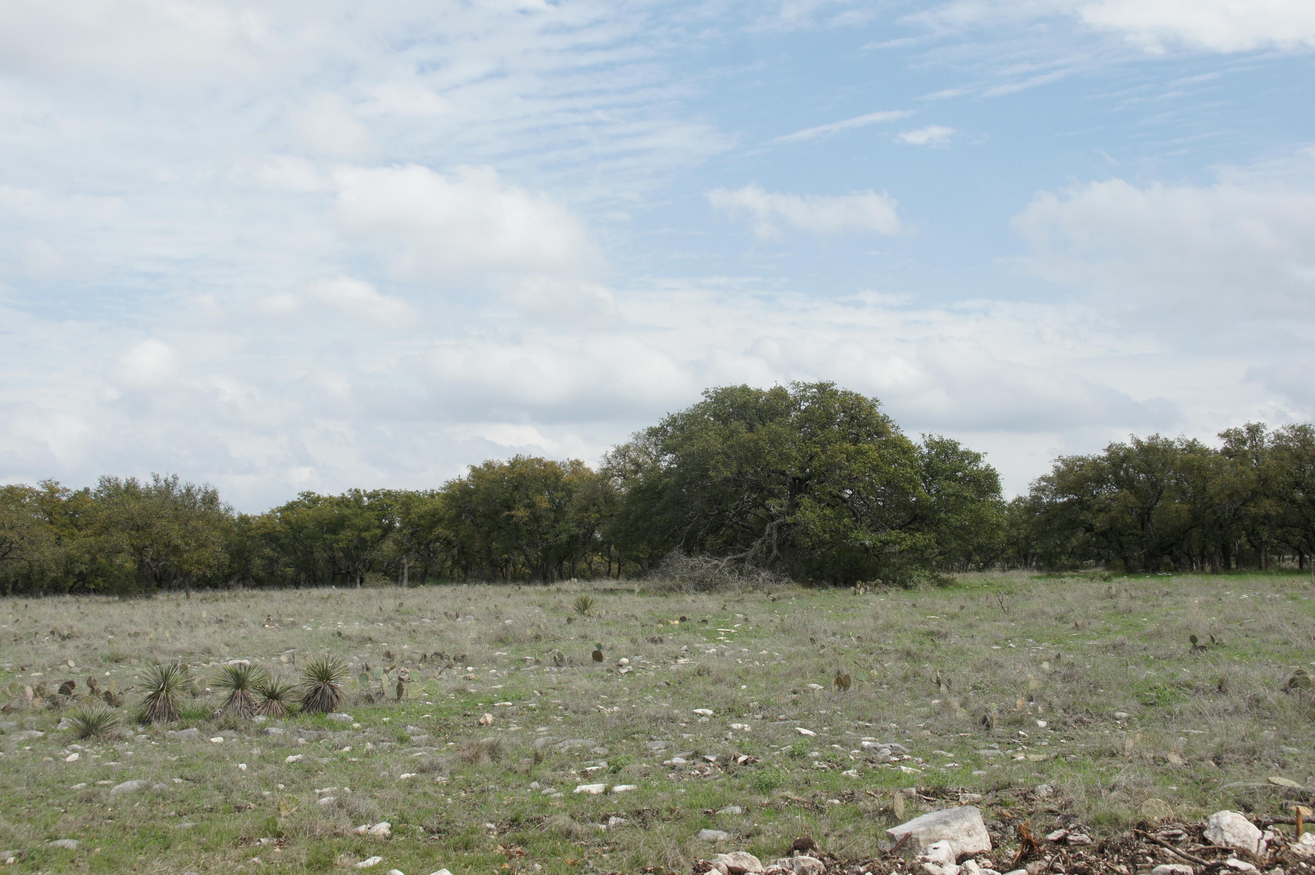 19.72 acres in Kimble County, Texas