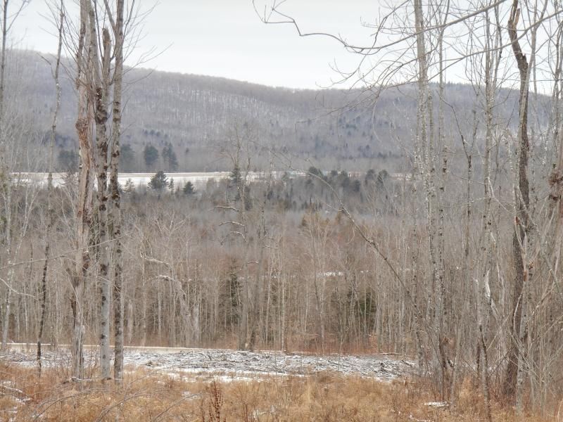 23 acres in Waldo County, Maine