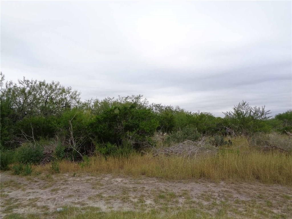 4.5 acres in Jim Wells County, Texas