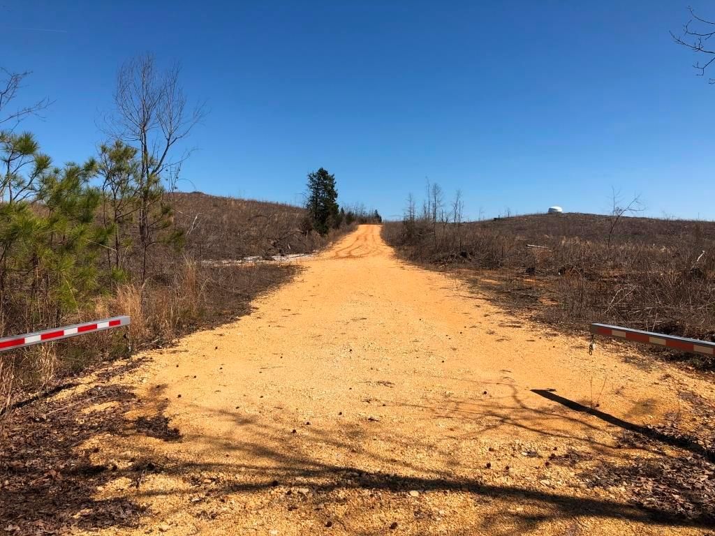 129 acres in Tishomingo County, Mississippi