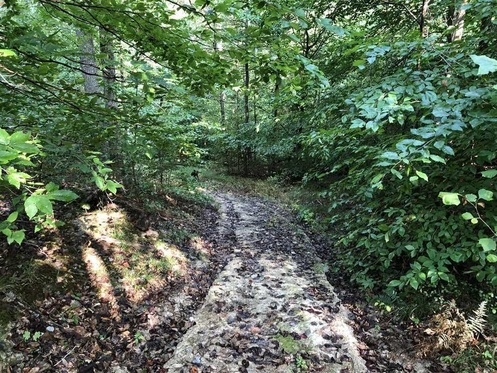 19 acres in Brown County, Indiana