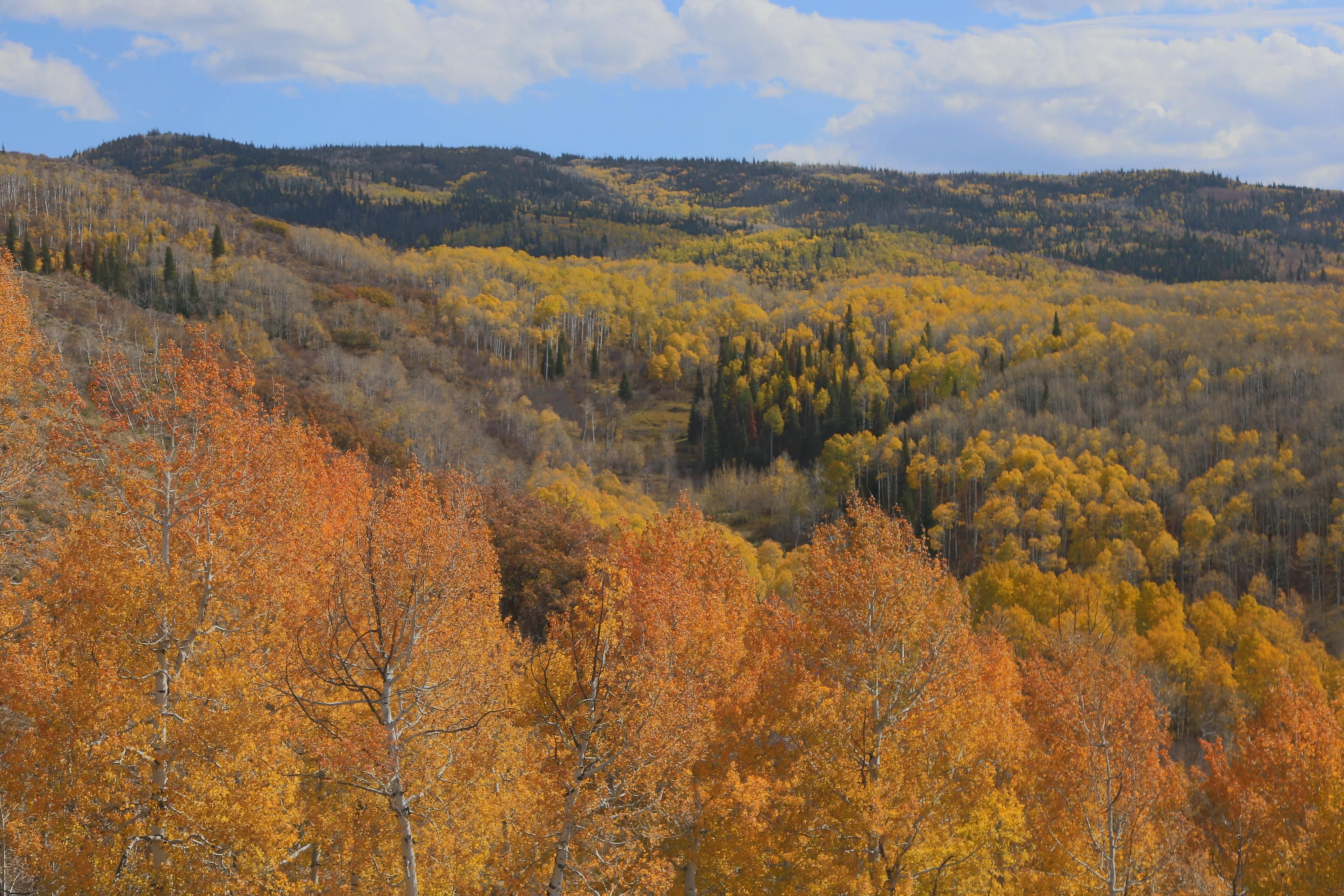 160 acres in Carbon County, Wyoming