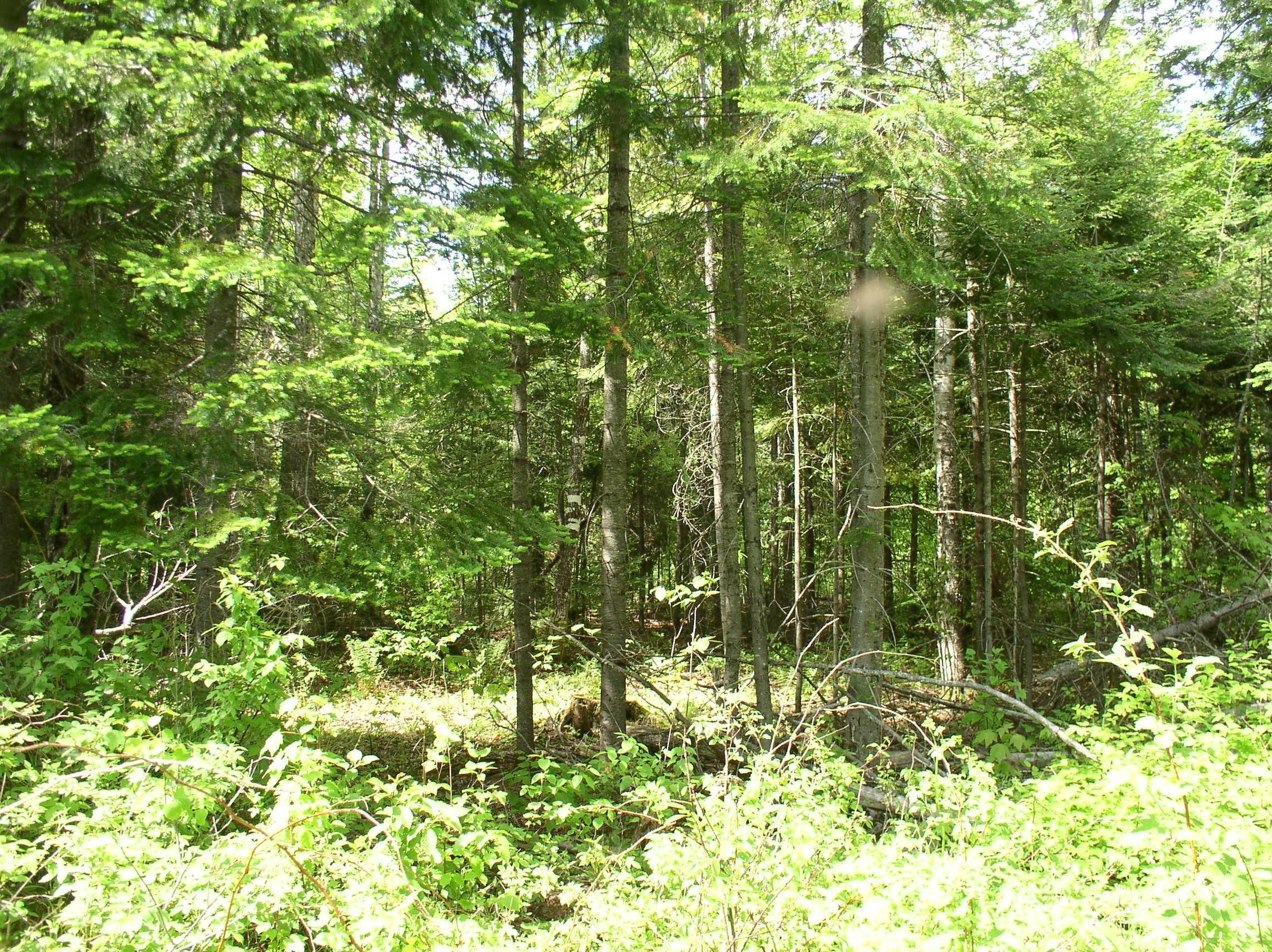 243.41 acres in Somerset County, Maine