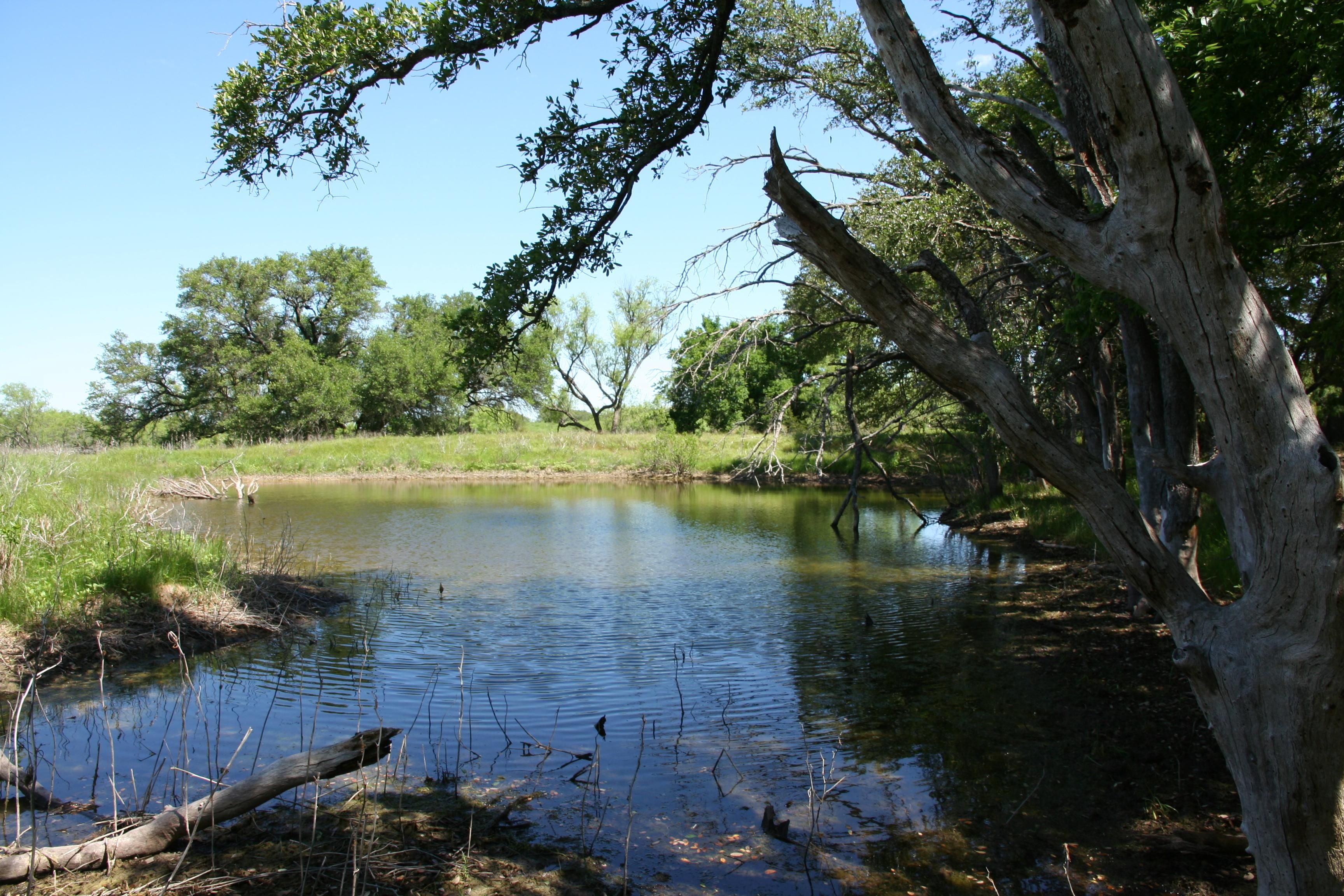 57 CR 275, Priddy, TX 76870