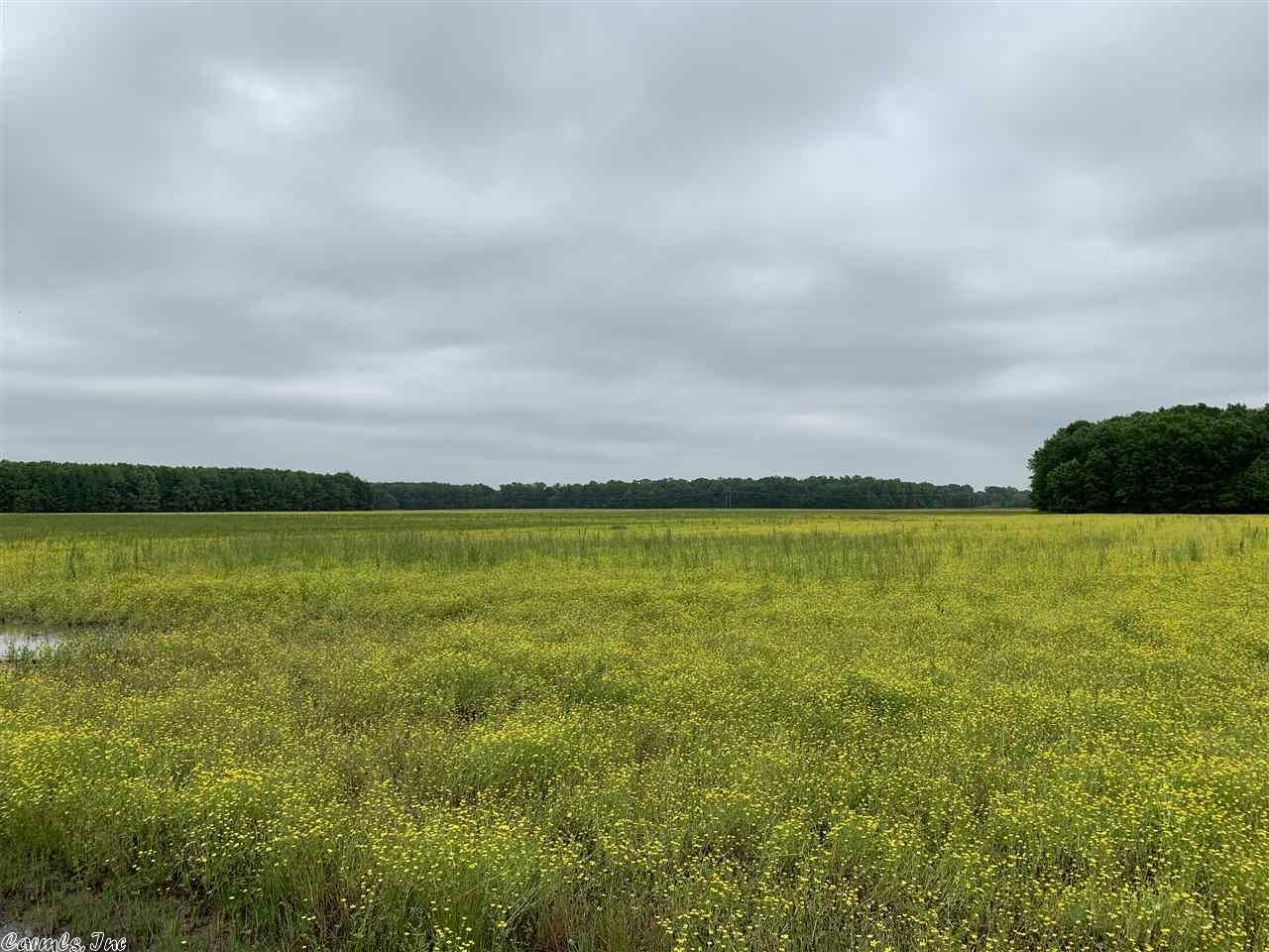 91 acres in Faulkner County, Arkansas
