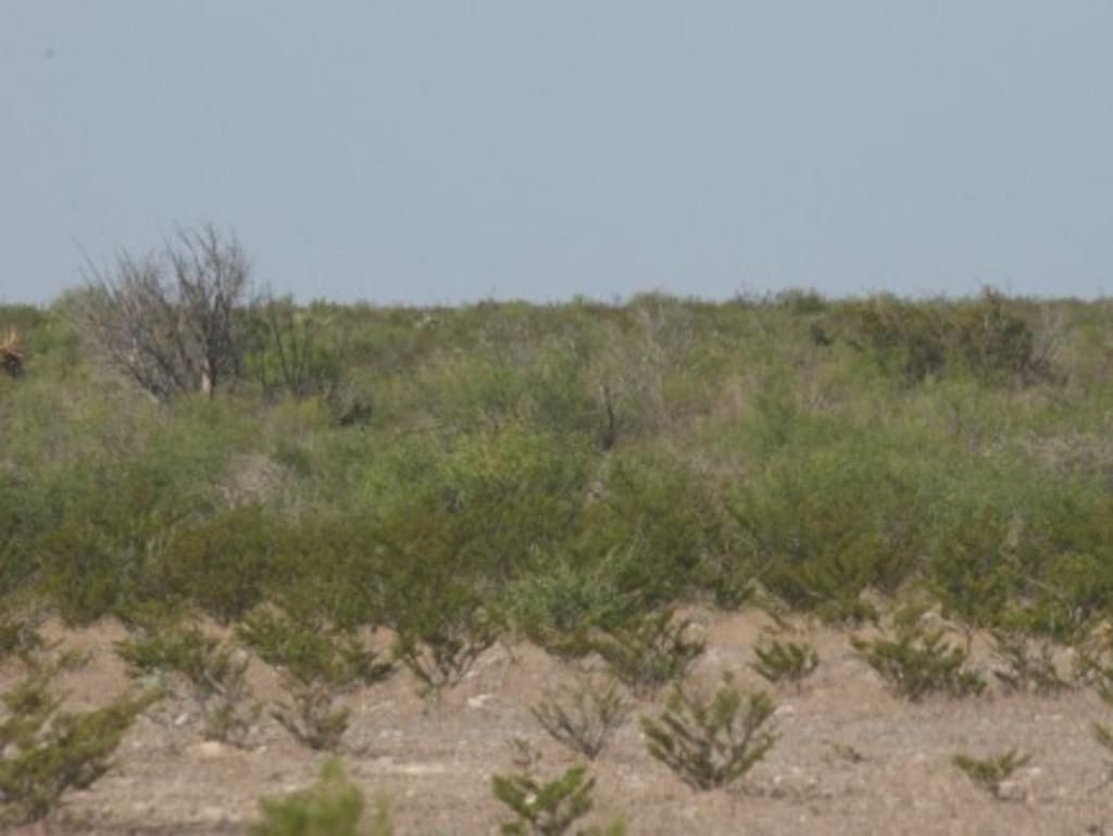 161 acres in Terrell County, Texas