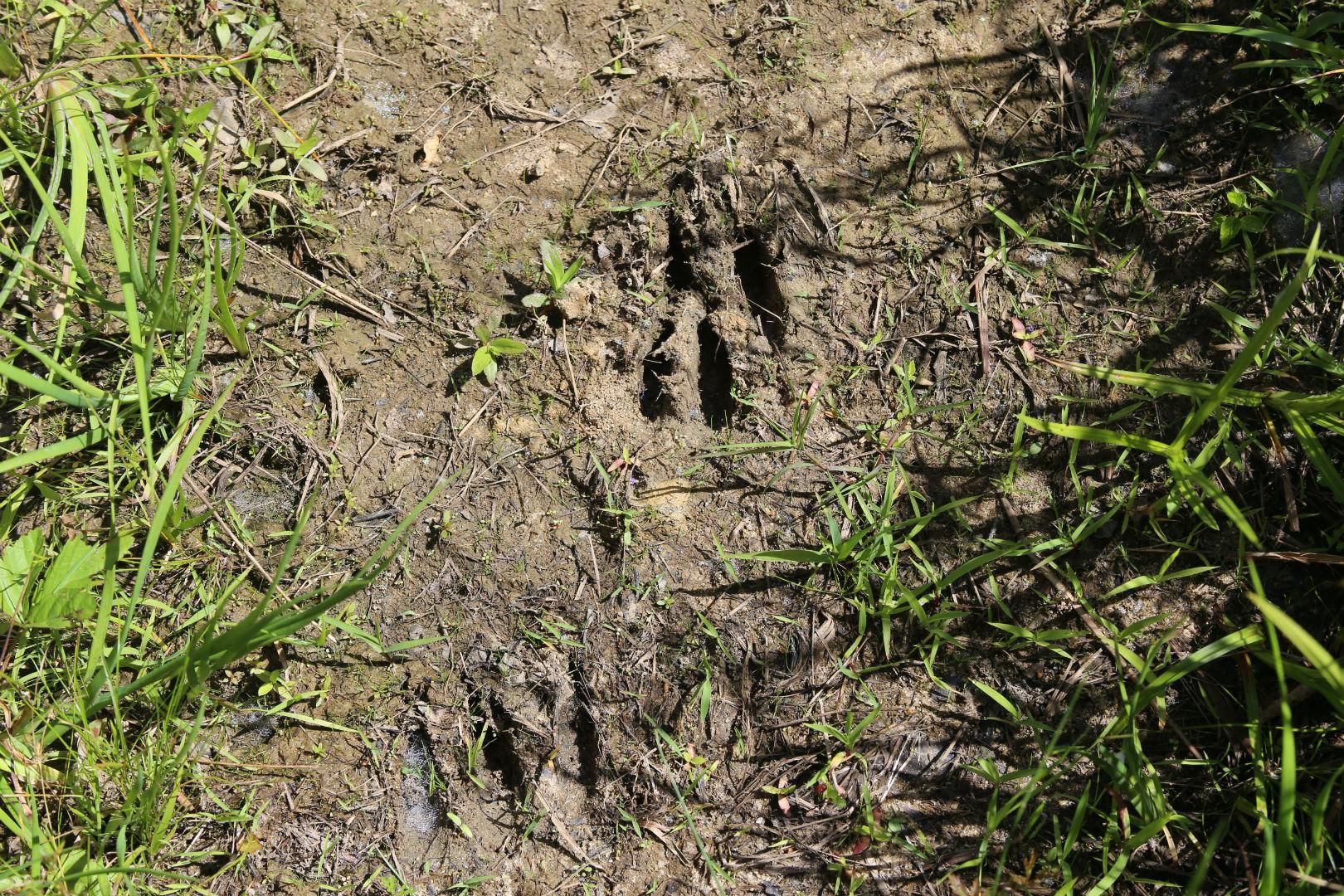 3250 Wheeler Road, Minter, AL 36761 MLS 0166