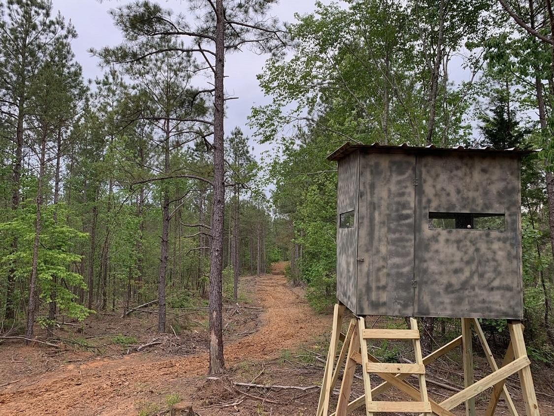 100 acres in Falkner, MS, 38629 MLS 20712