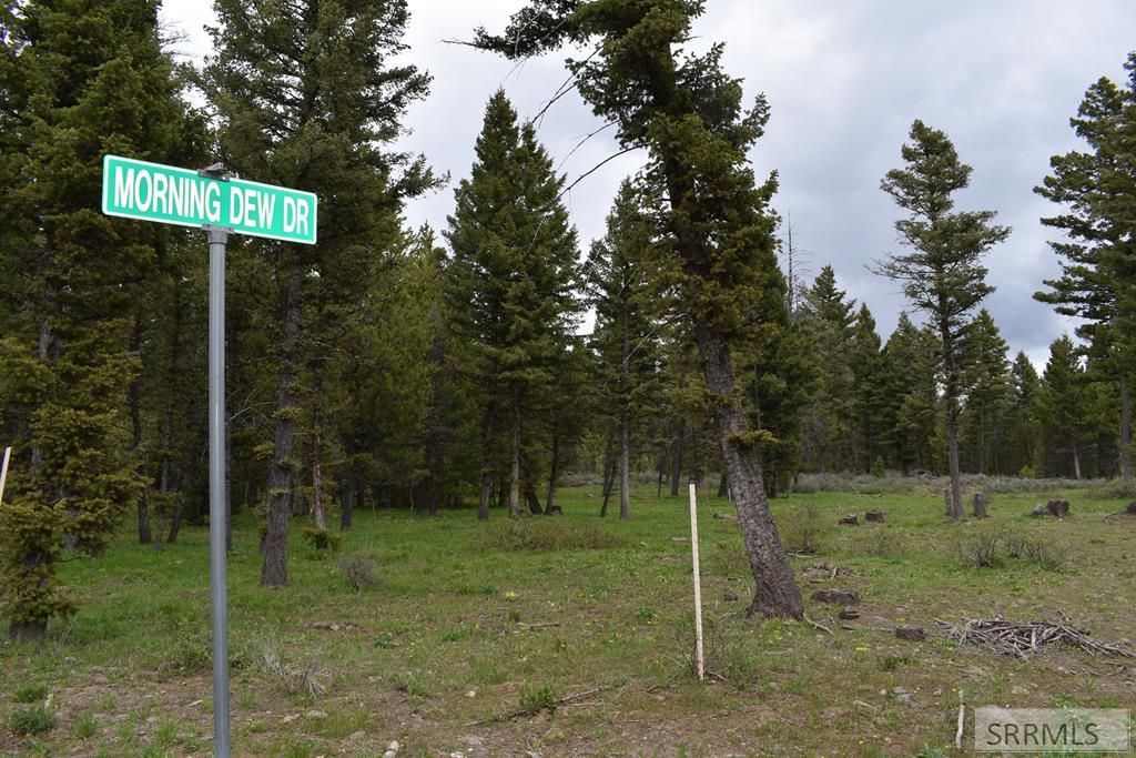 5 acres in Fremont County, Idaho