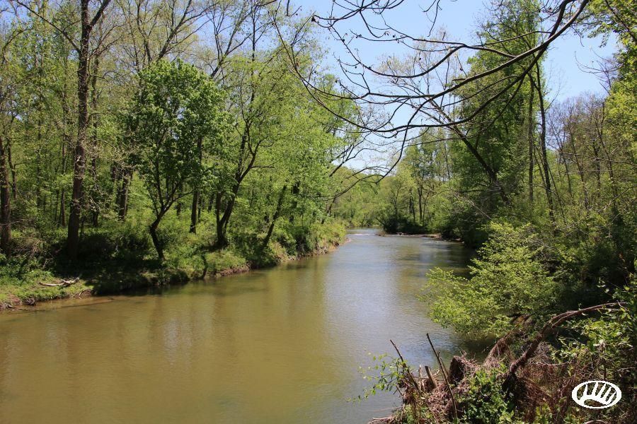 75 acres in Culpeper County, Virginia