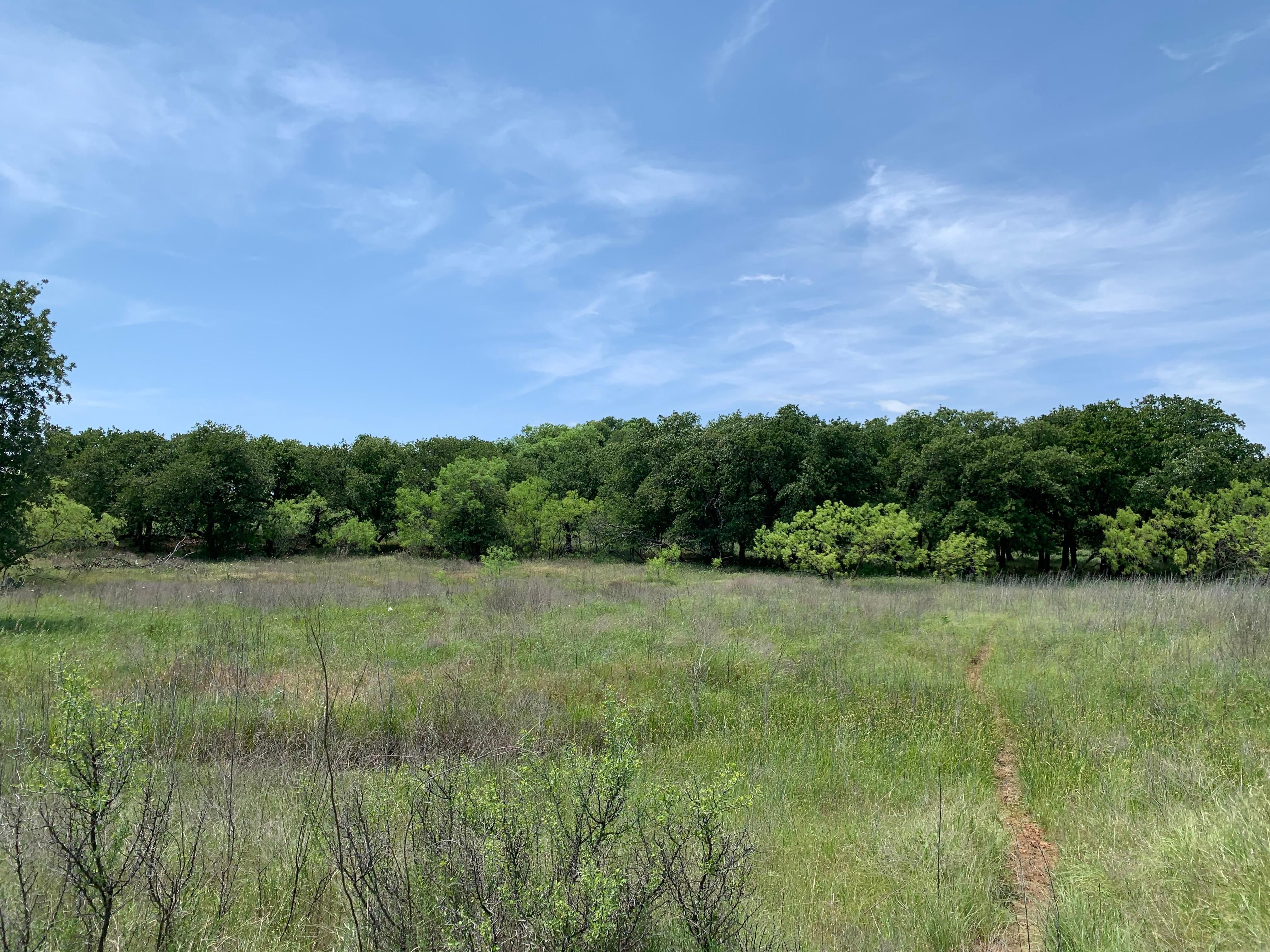 63.3 acres in Young County, Texas