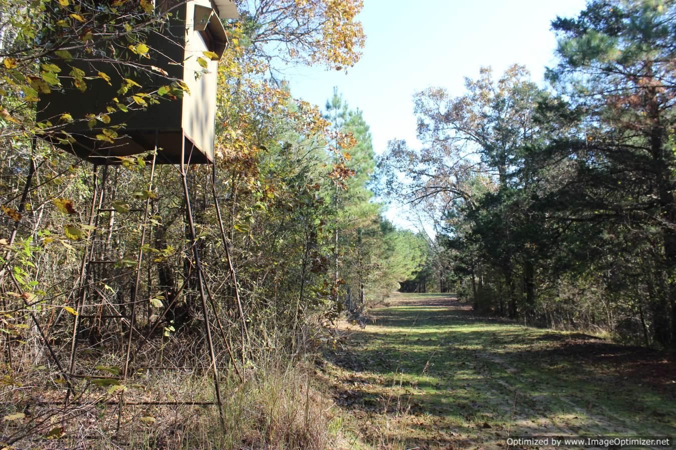 180 acres in Holmes County, Mississippi