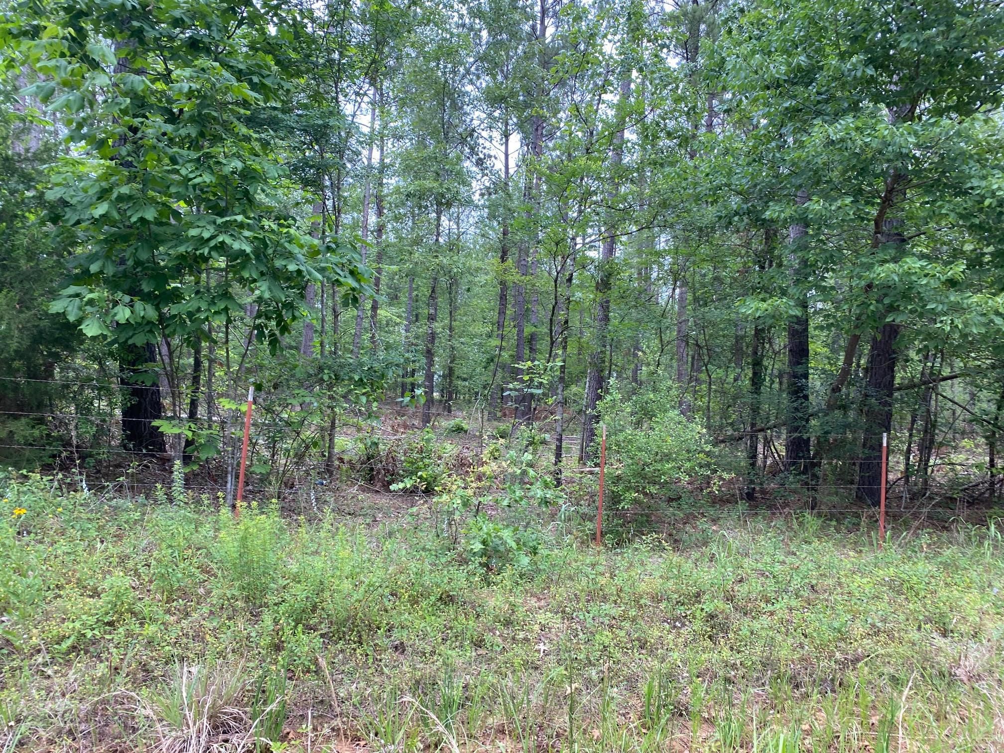 20 acres in Bowie County, Texas