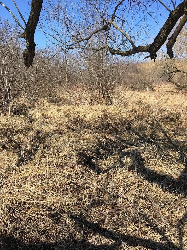 40 acres in Trempealeau County, Wisconsin