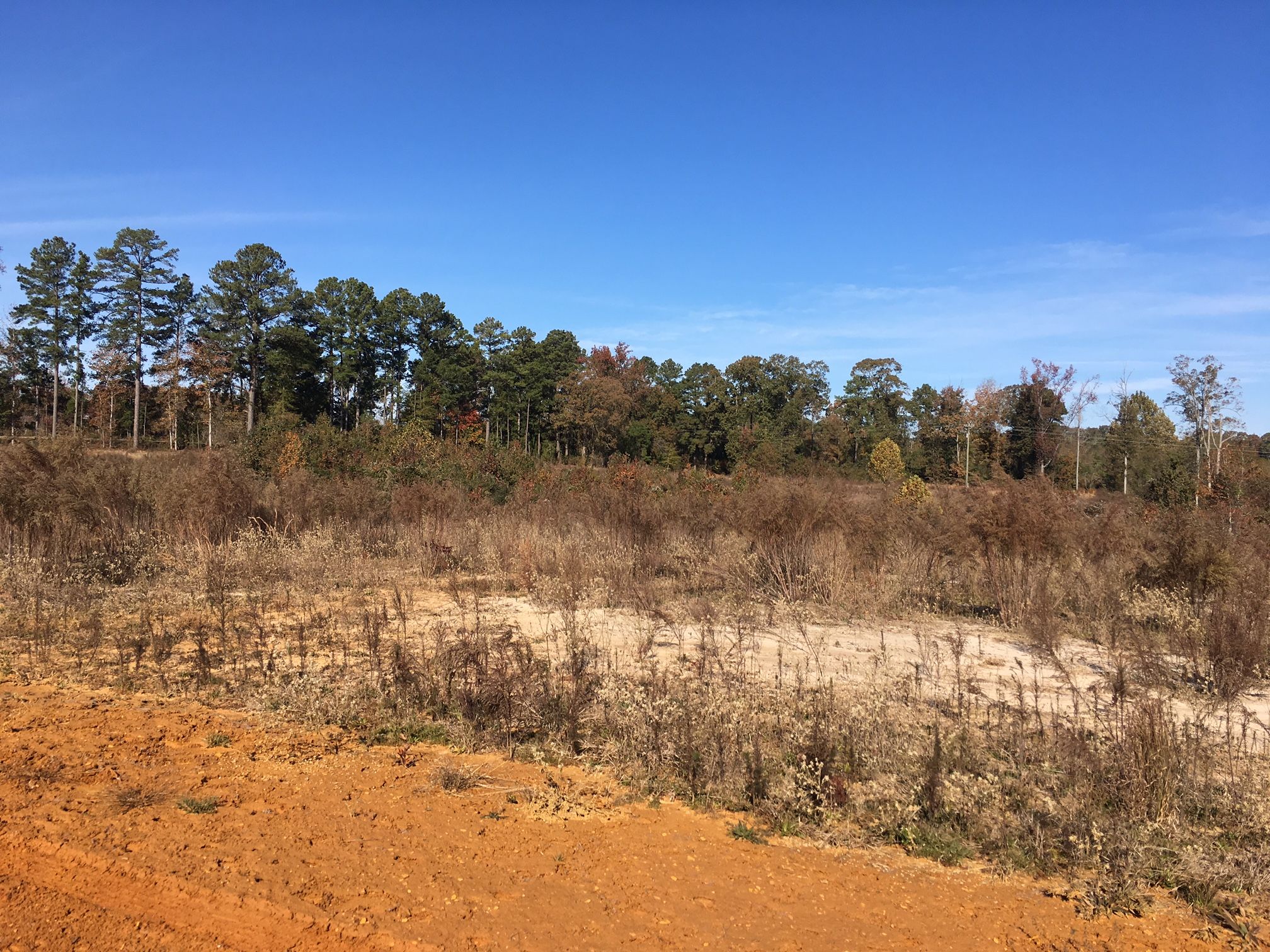 7 acres in Lincoln Parish, Louisiana