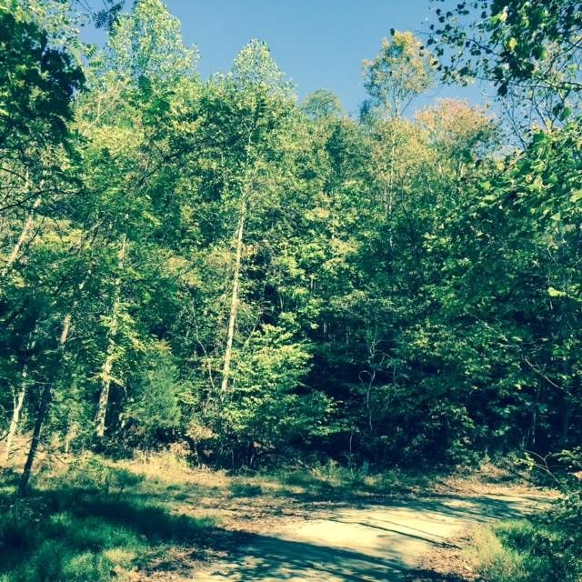 10 acres in Nelson County, Virginia