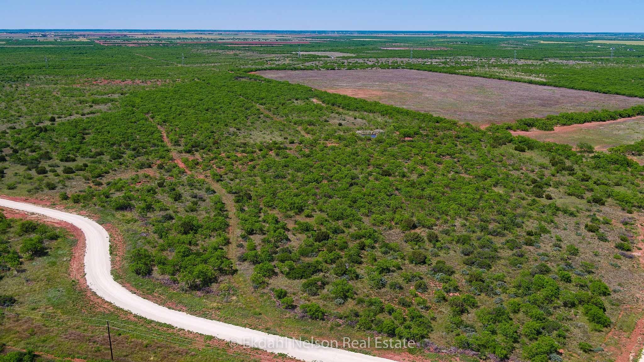 50 acres in Taylor County, Texas