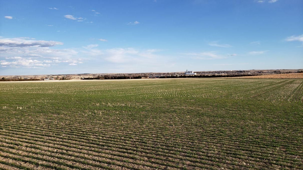 149.5 acres in Kimball County, Nebraska