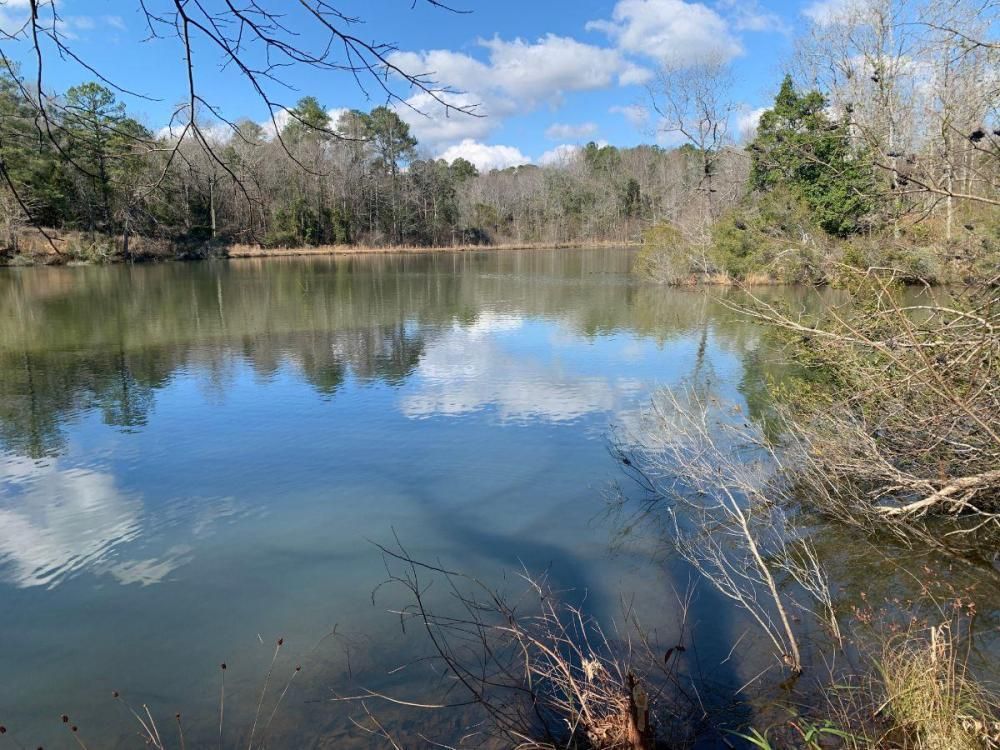 112 acres in Newton County, Mississippi