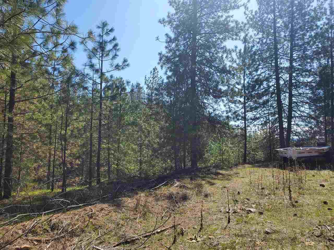 20 acres in Stevens County, Washington