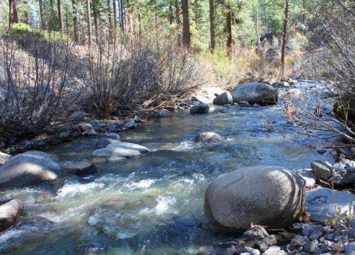 40 acres in Markleeville, CA, 96120