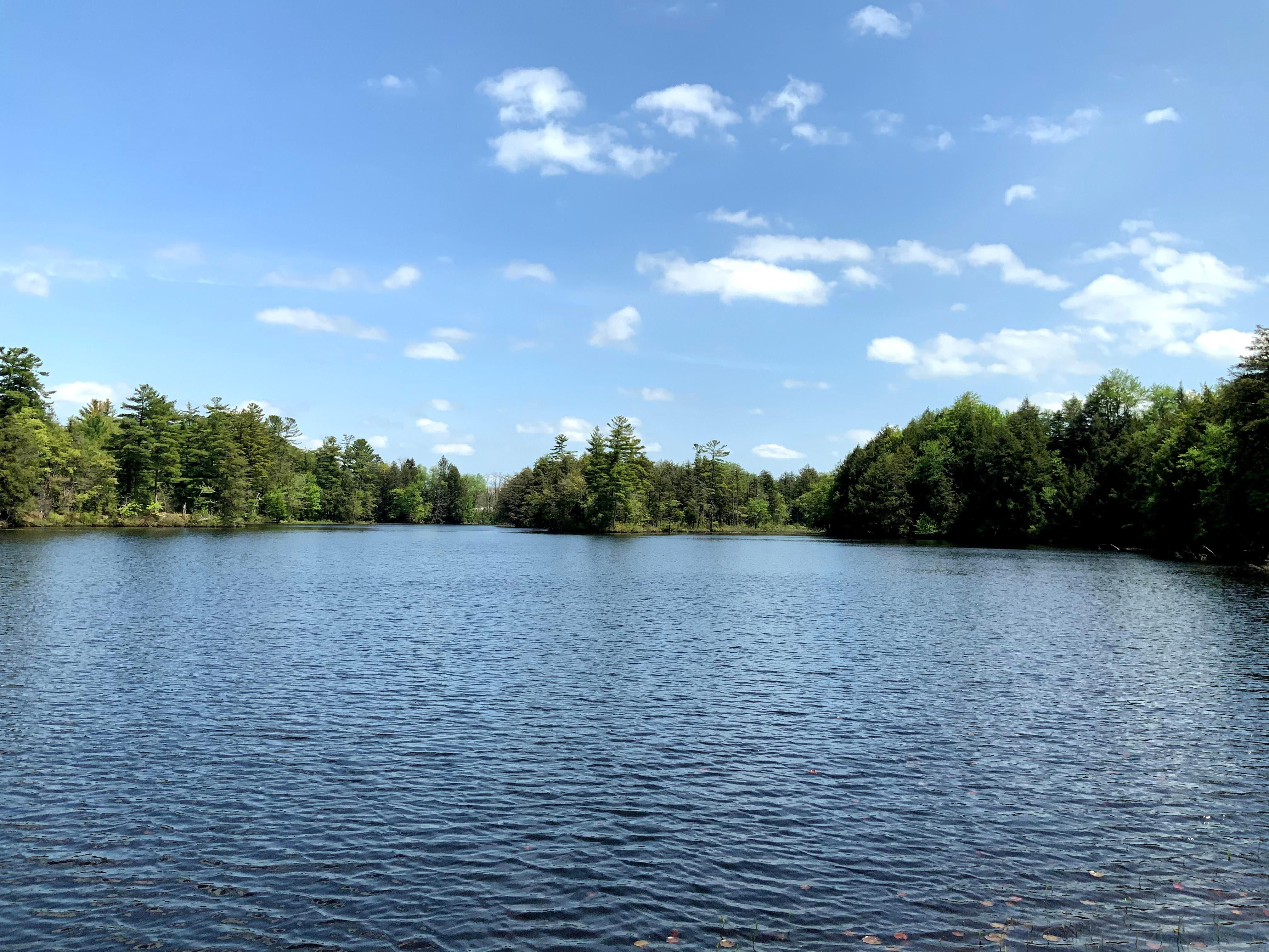 17.3 acres in Oswego County, New York