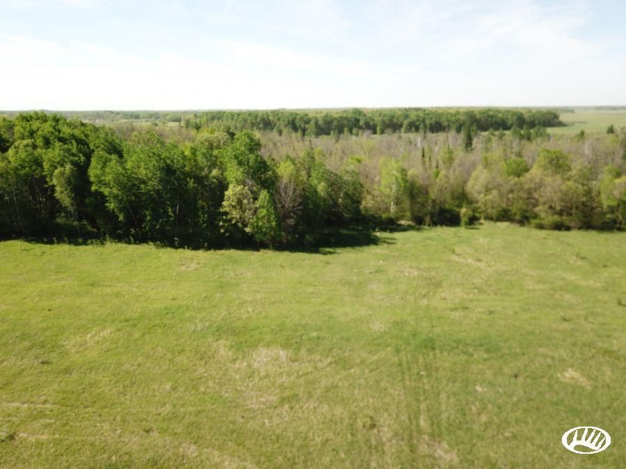 81.18 acres in Wadena County, Minnesota