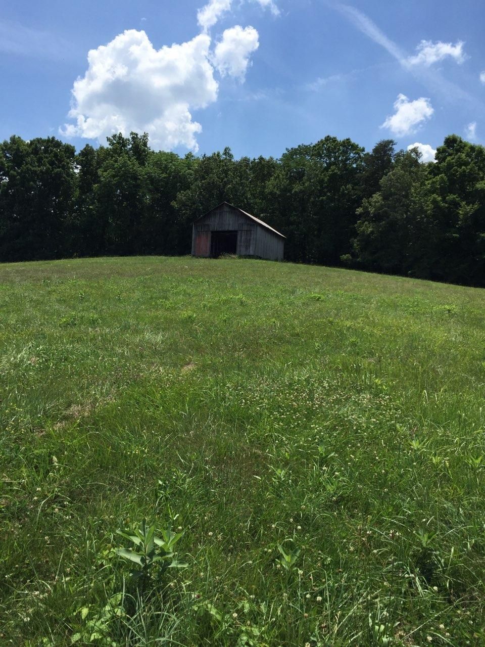 8 acres in Casey County, Kentucky