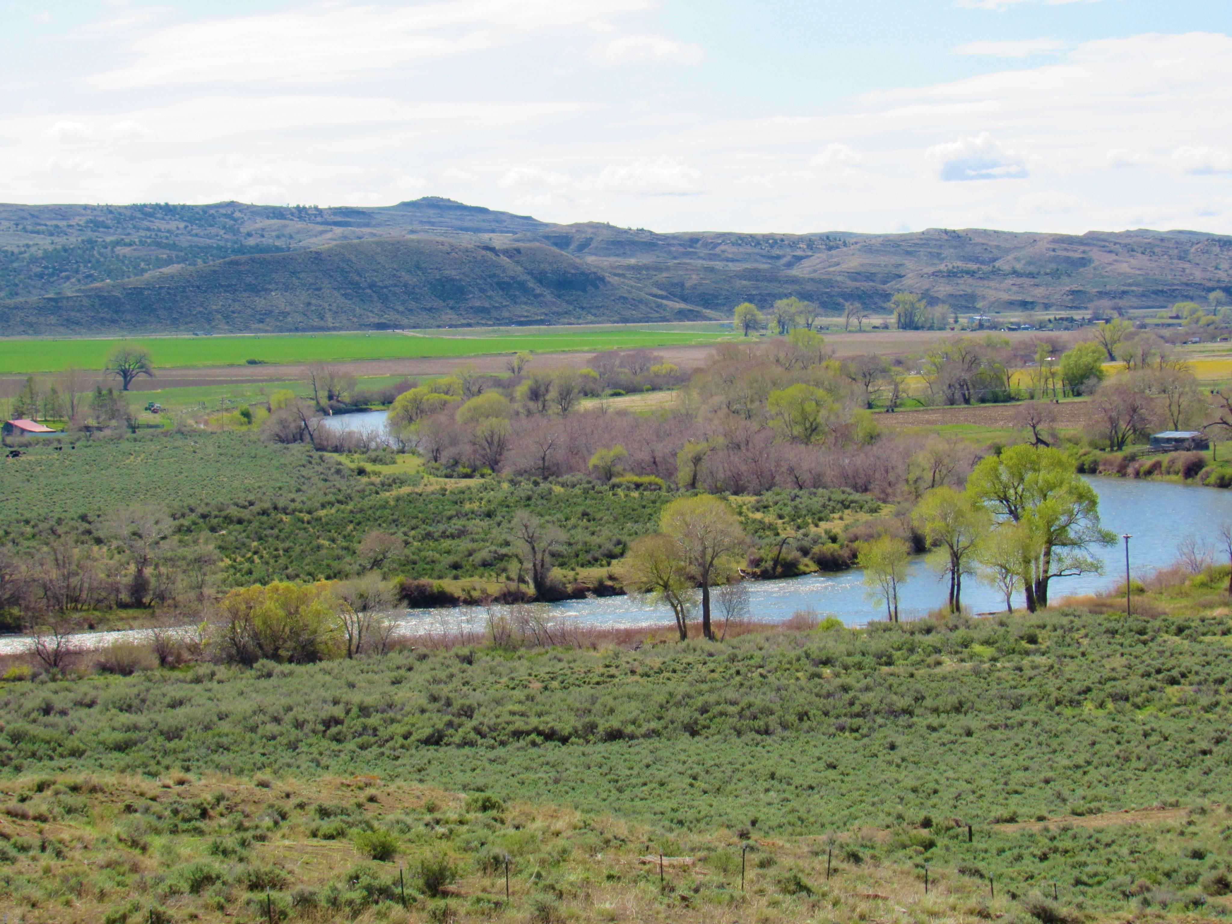 42 acres in Carbon County, Montana