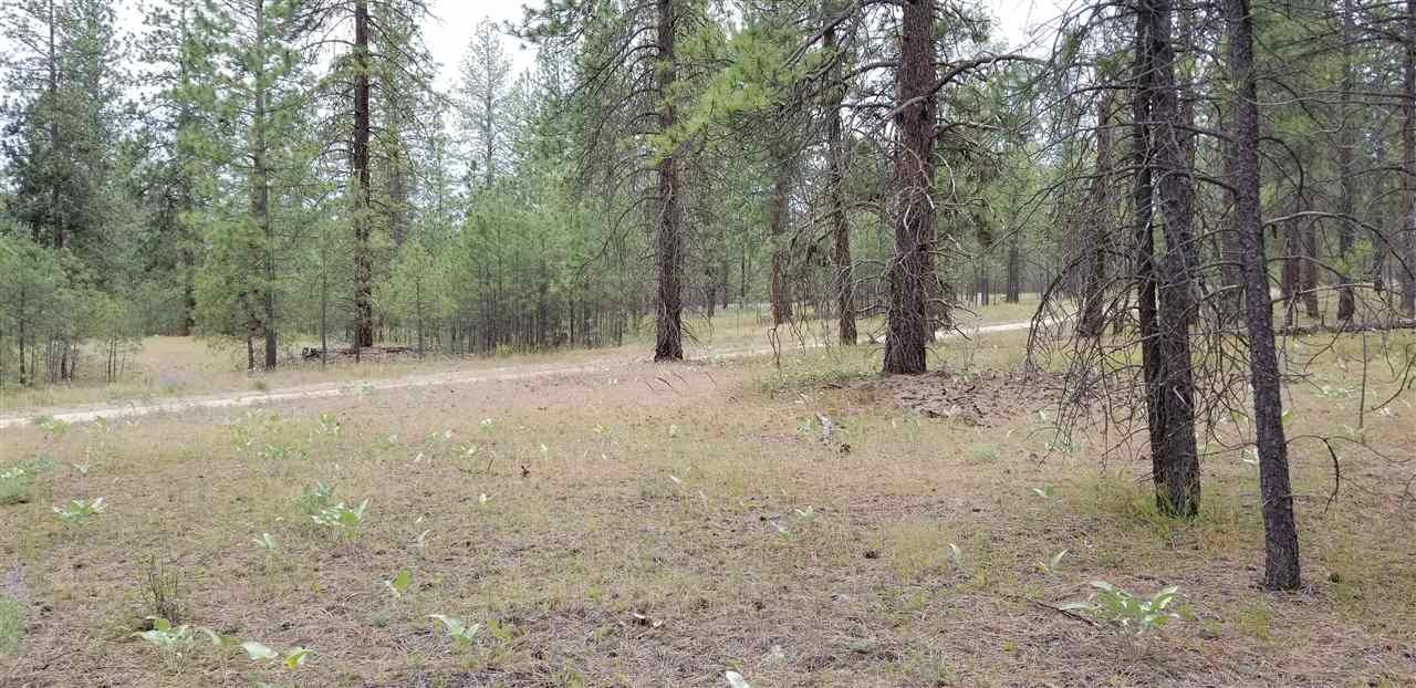 20 acres in Stevens County, Washington