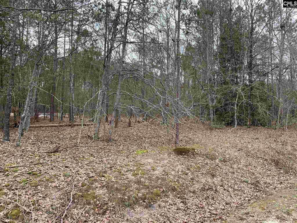 WW Lowman Road, BatesburgLeesville, SC 29006 MLS 490523