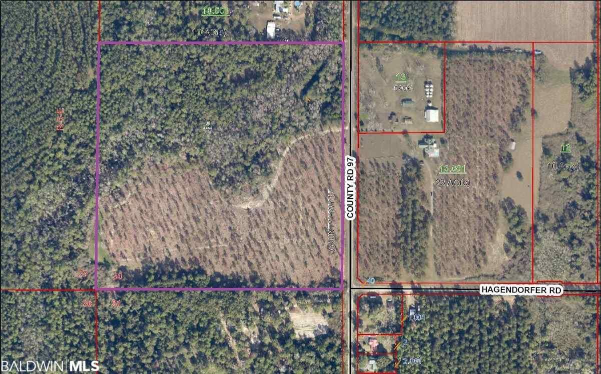 41 acres in Baldwin County, Alabama