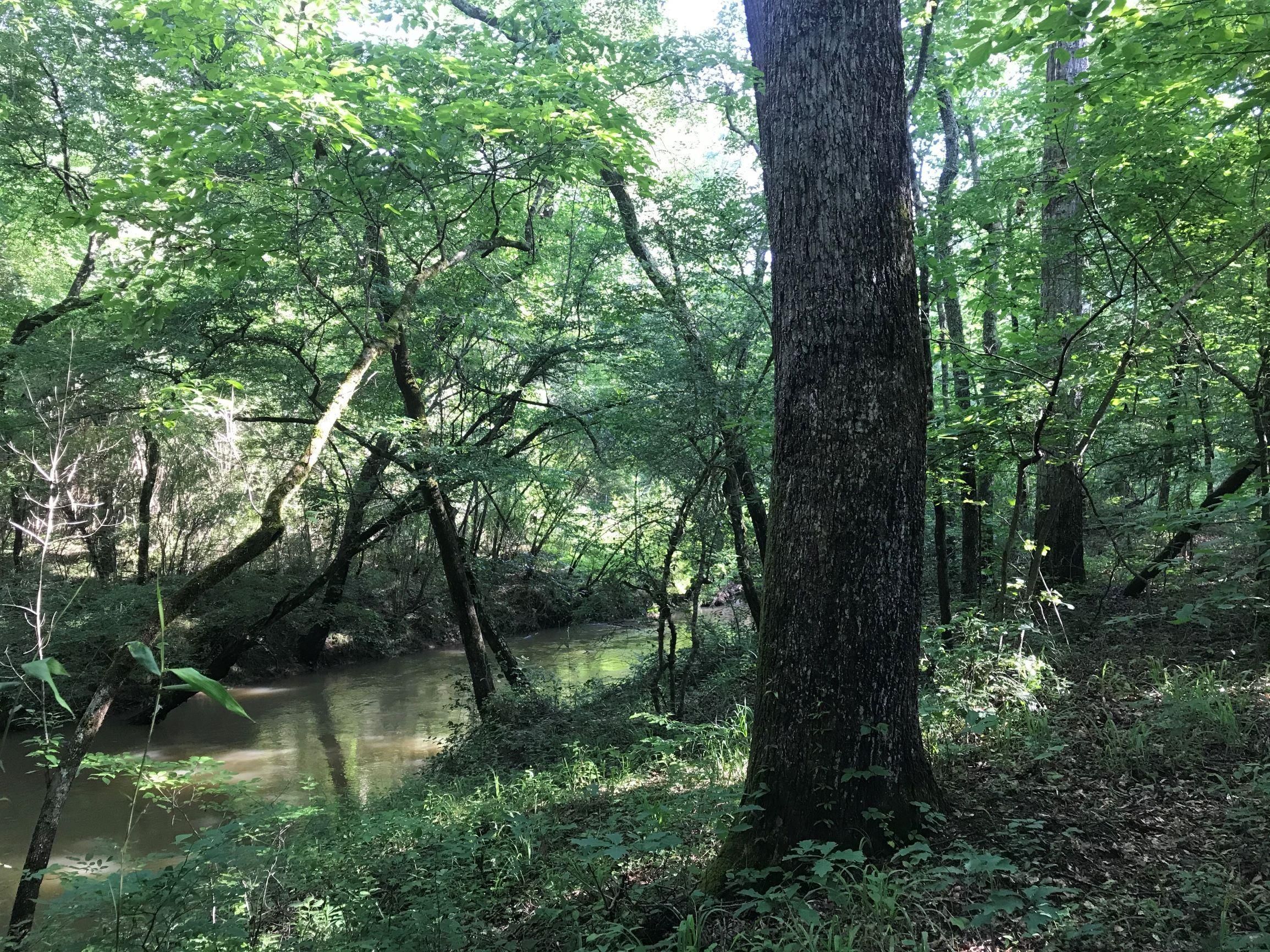 40 acres in Saint Clair County, Alabama