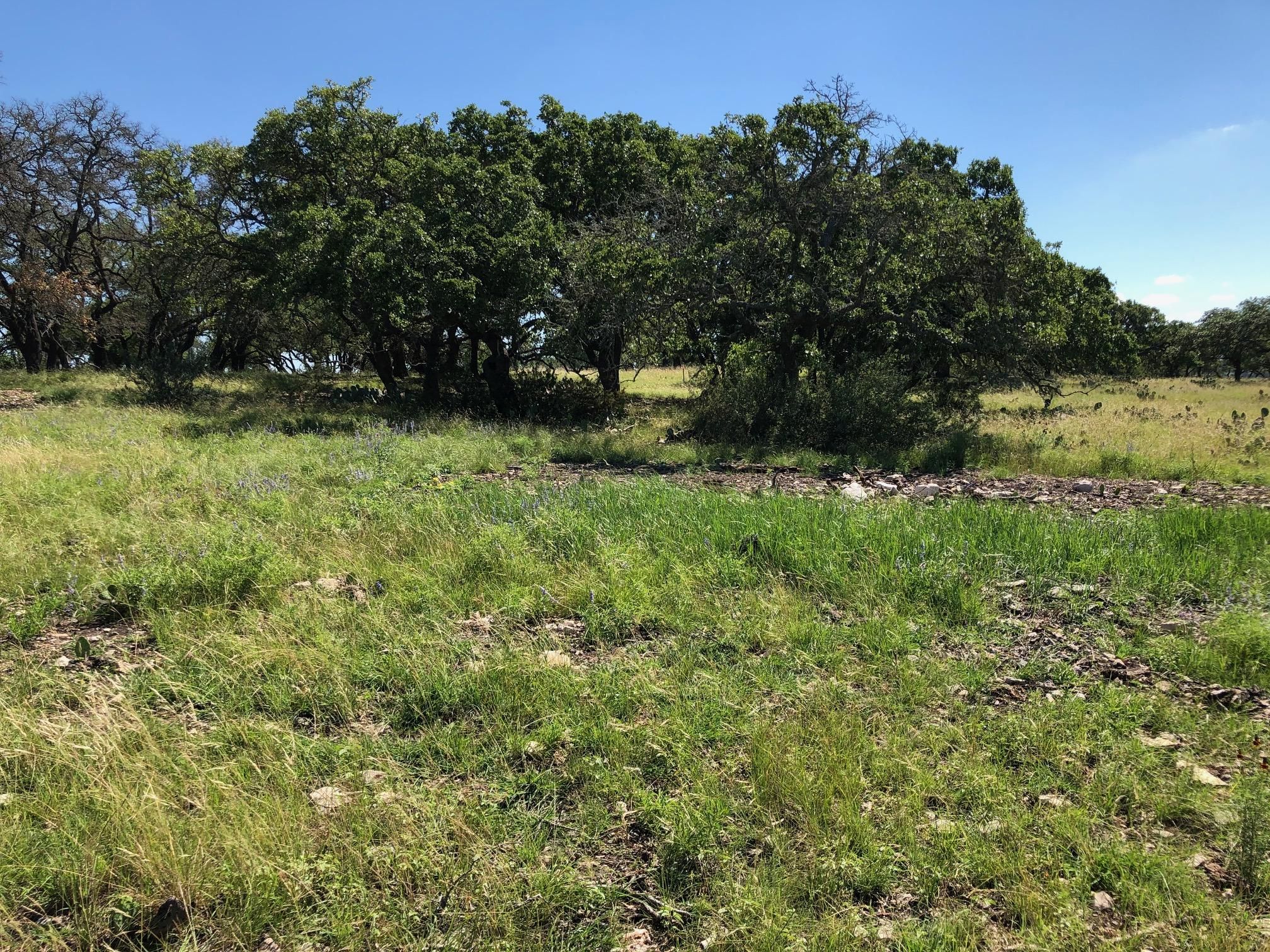 12.35 acres in Gillespie County, Texas