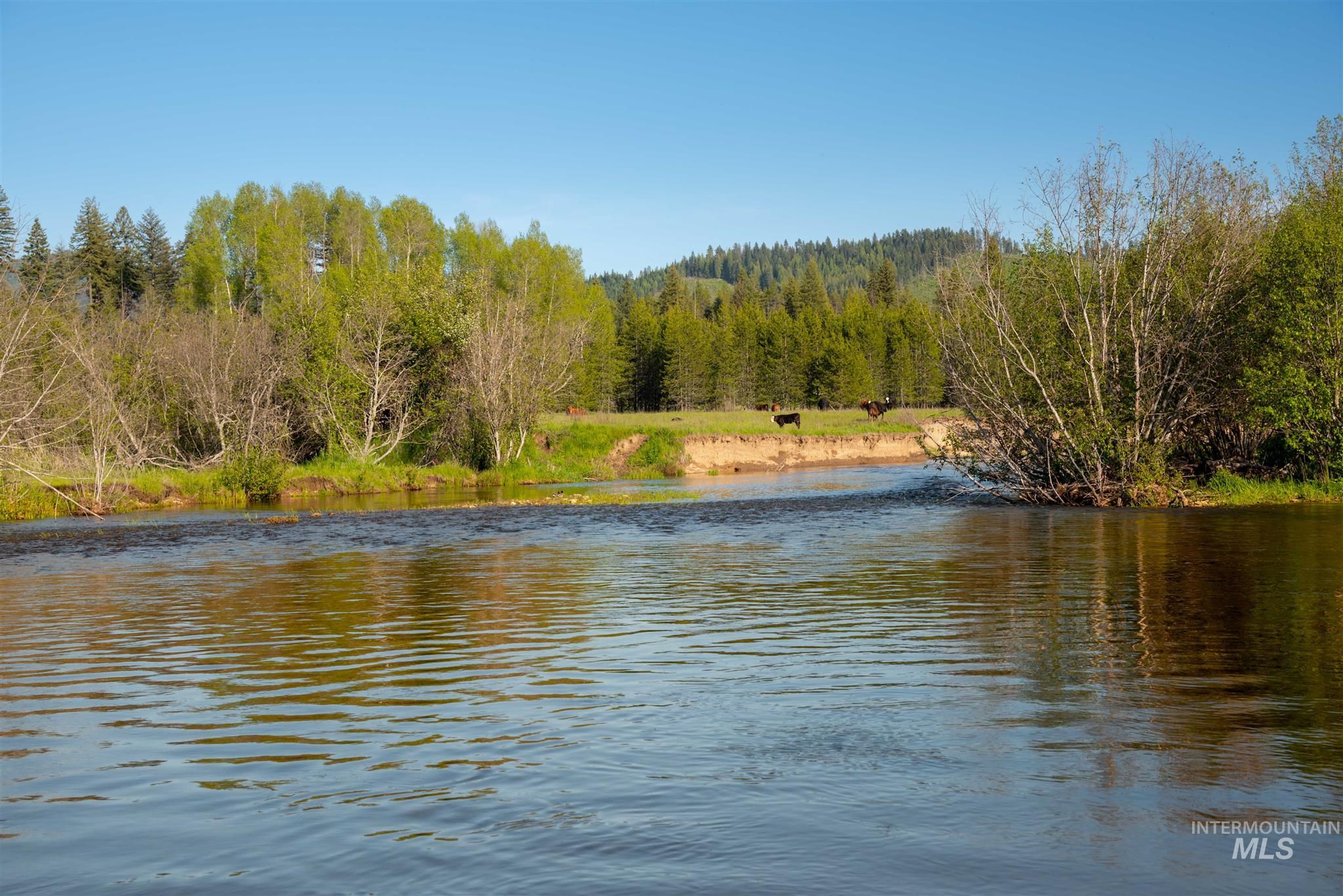 178 acres in Latah County, Idaho