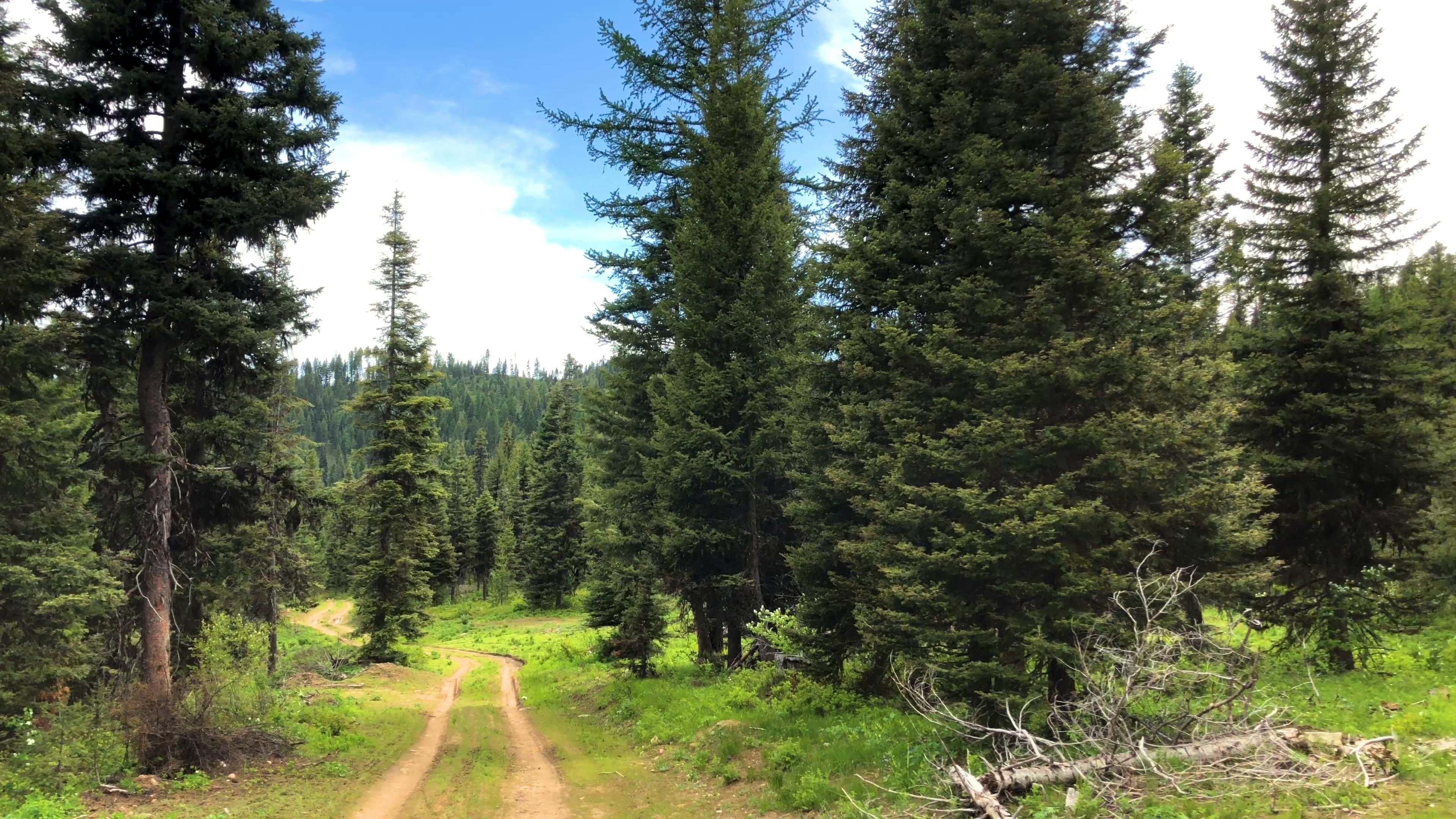 80 acres in Valley County, Idaho