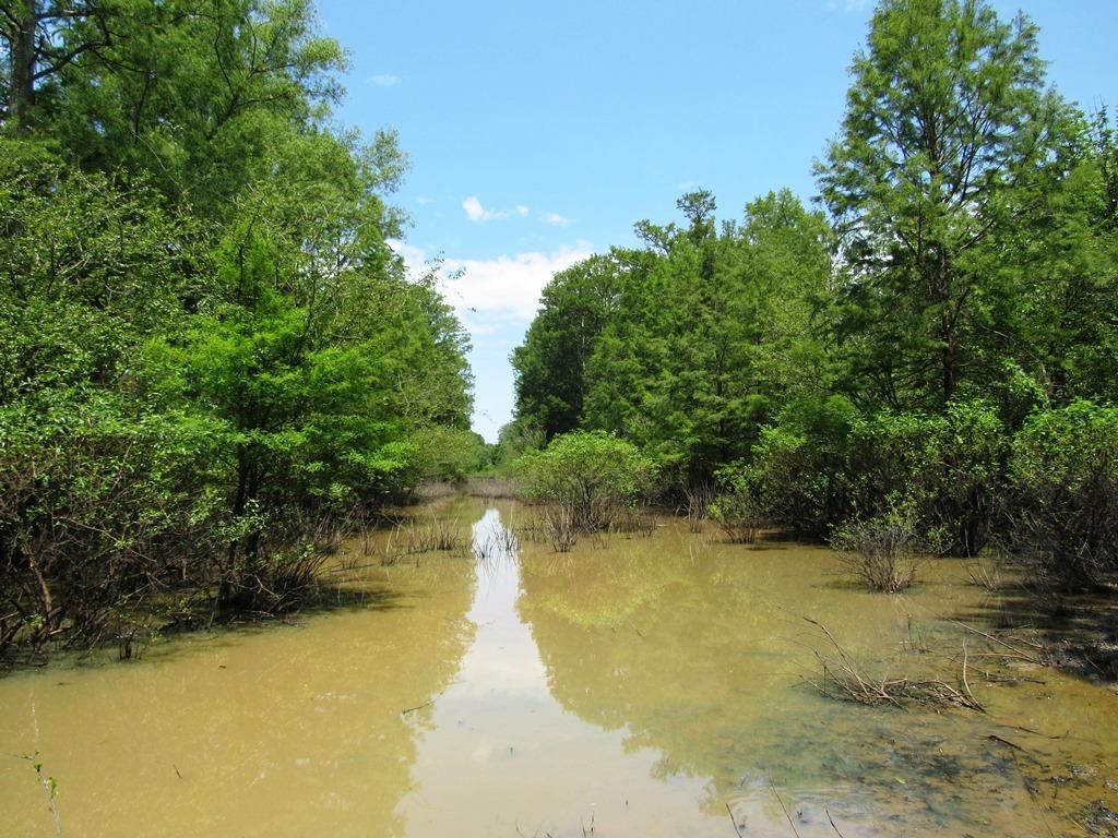 Mayfield Road, Wickliffe, KY 42087