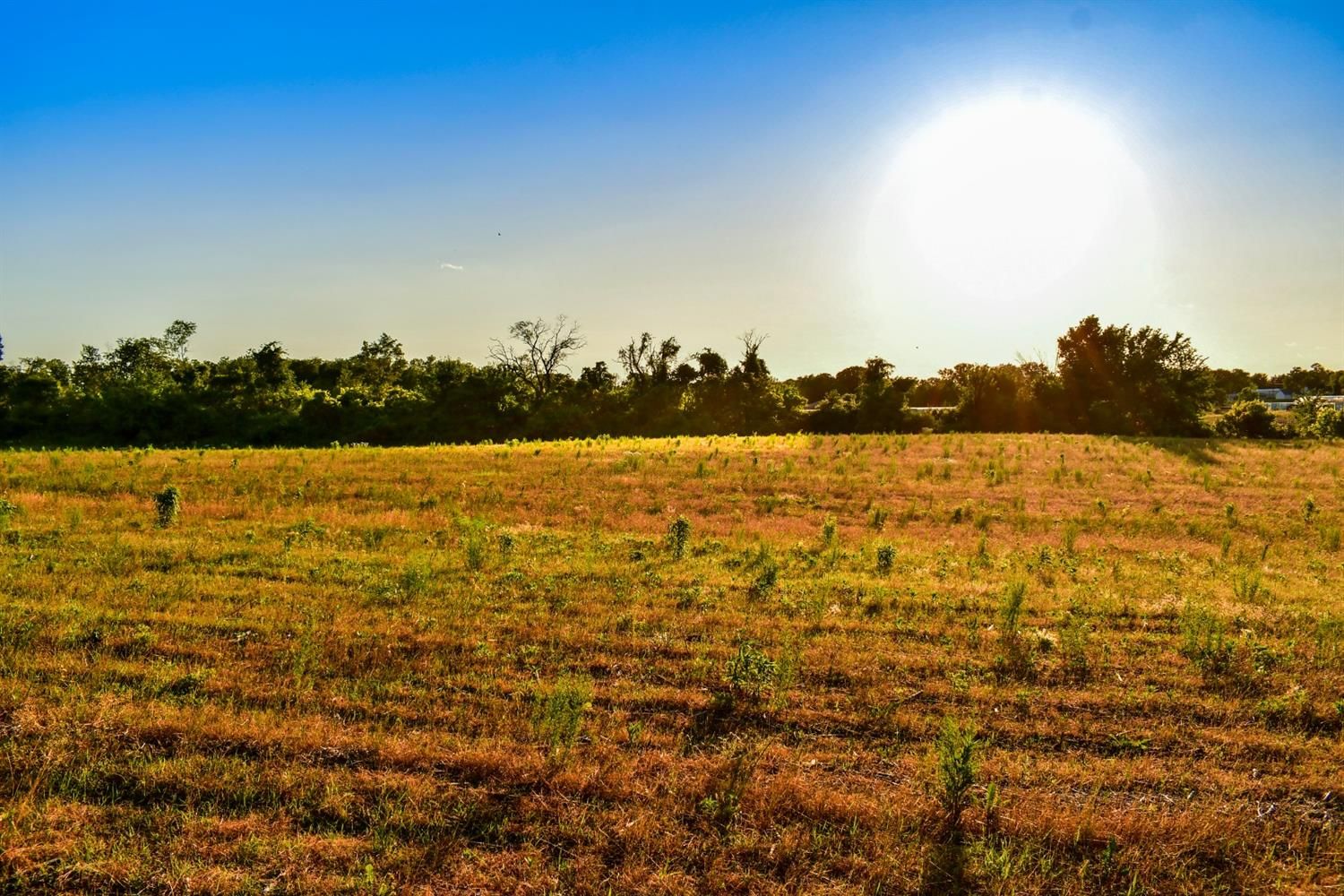 40 acres in Porter County, Indiana