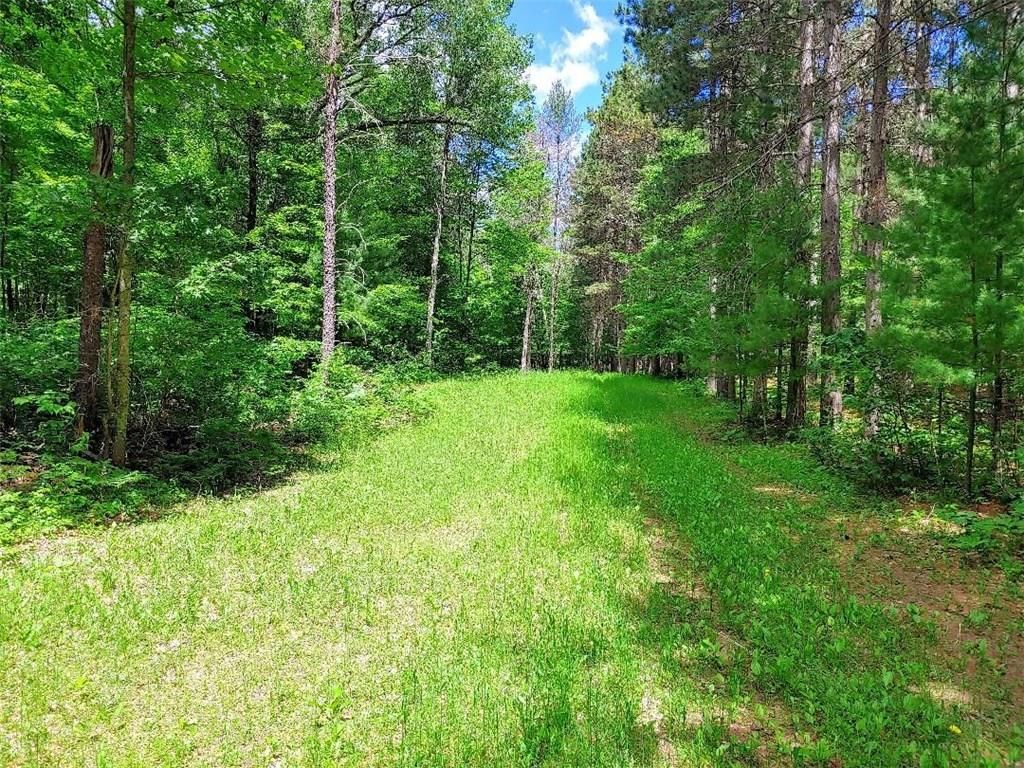 40 acres in County, Wisconsin