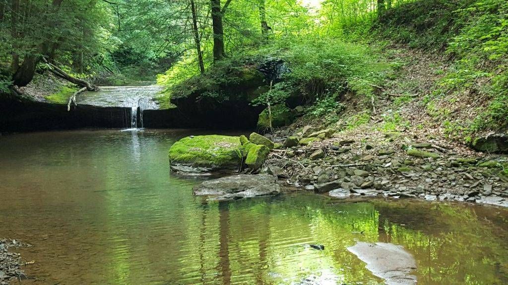 79 acres in Clay County, West Virginia