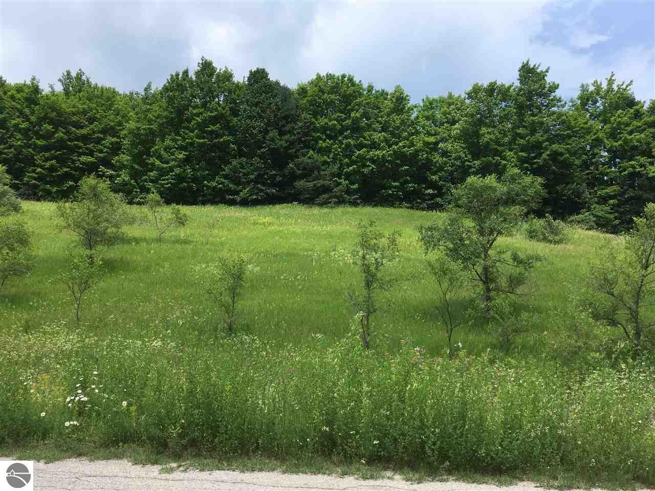 3.9 acres in Grand Traverse County, Michigan