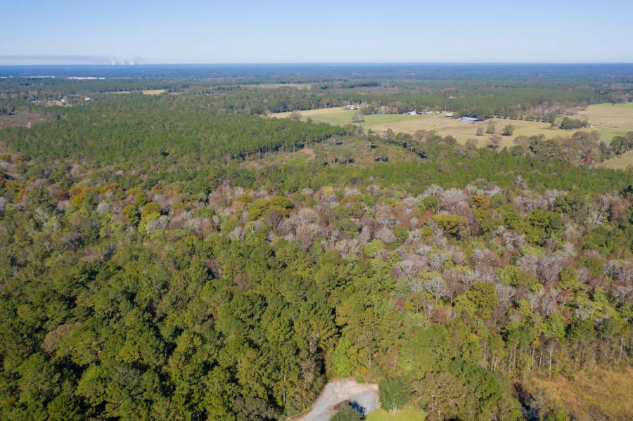 40 acres in Beauregard Parish, Louisiana