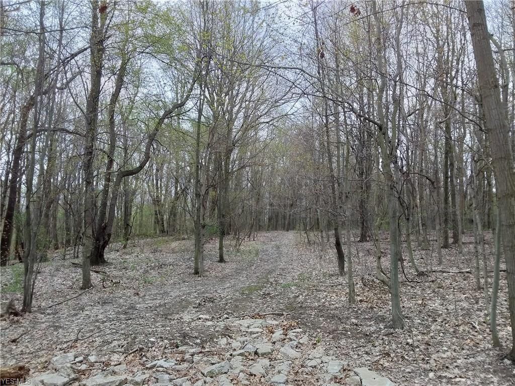 32 acres in Geauga County, Ohio