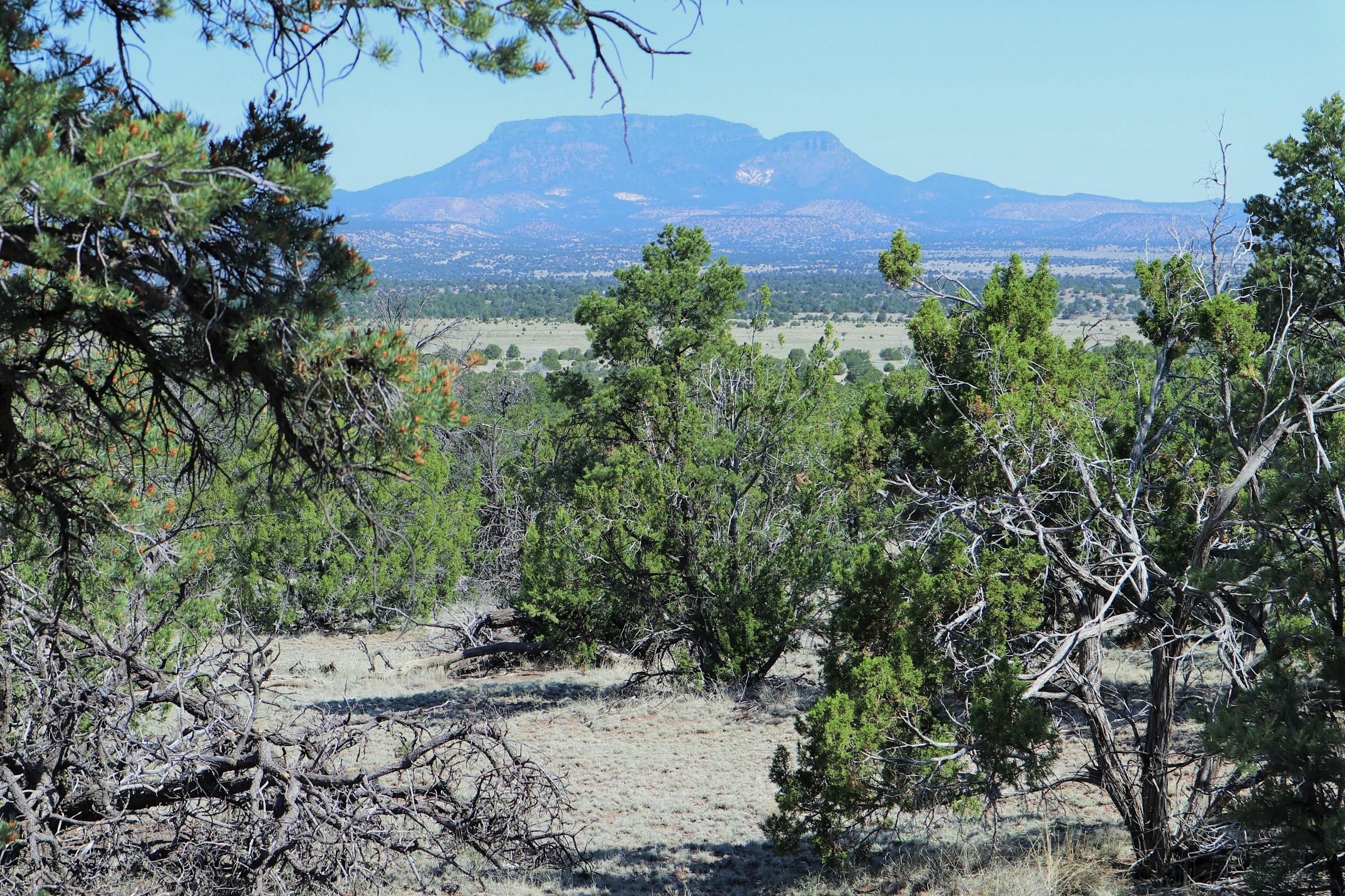 10 acres in Catron County, New Mexico