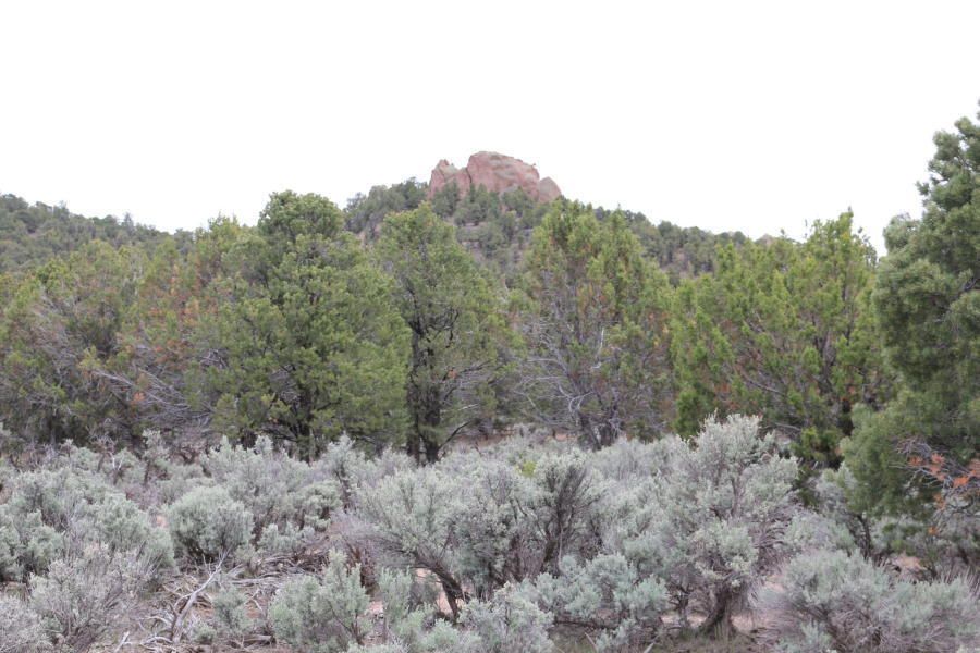 40 acres in Iron County, Utah