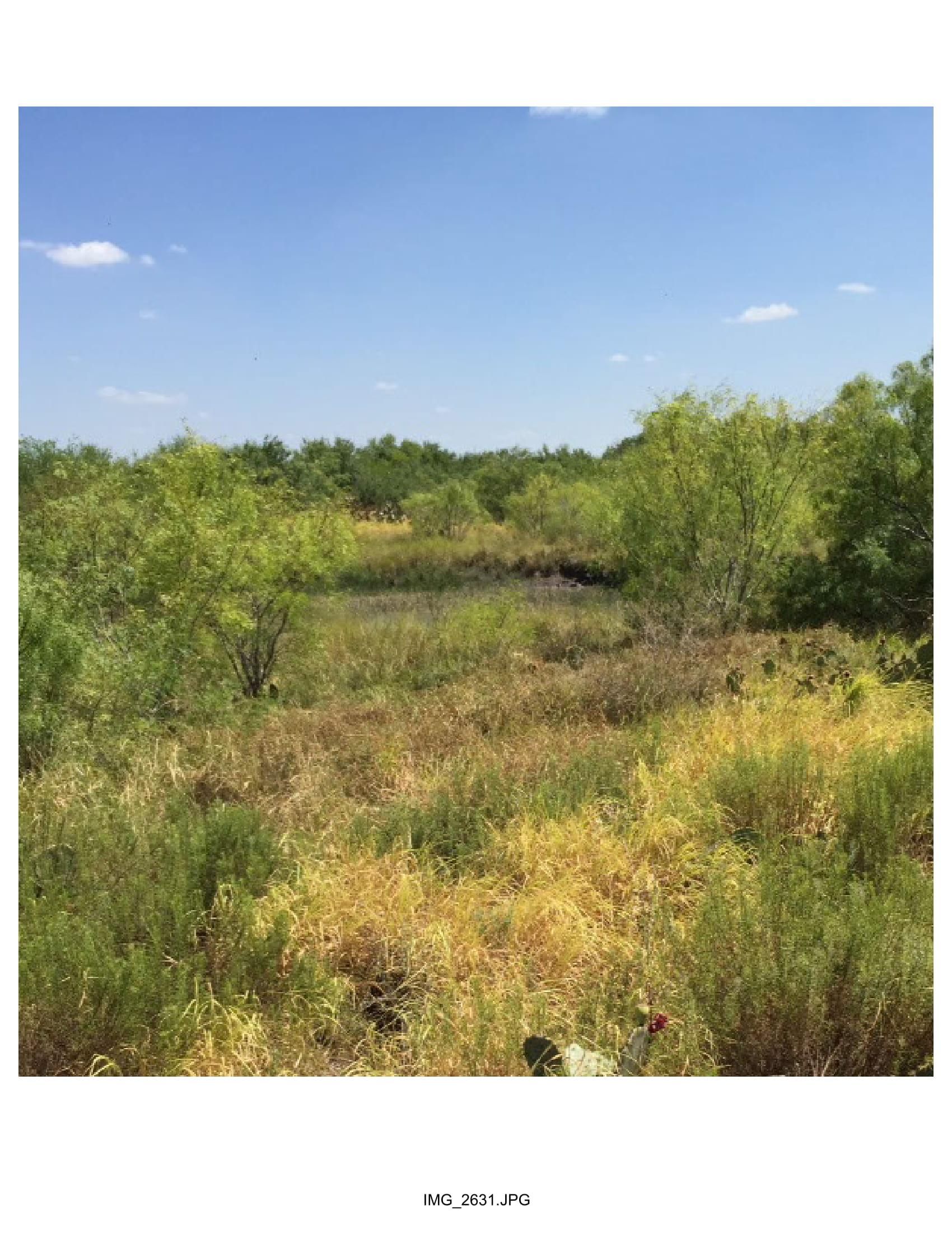 1,468.76 acres in Zapata, TX, 78076