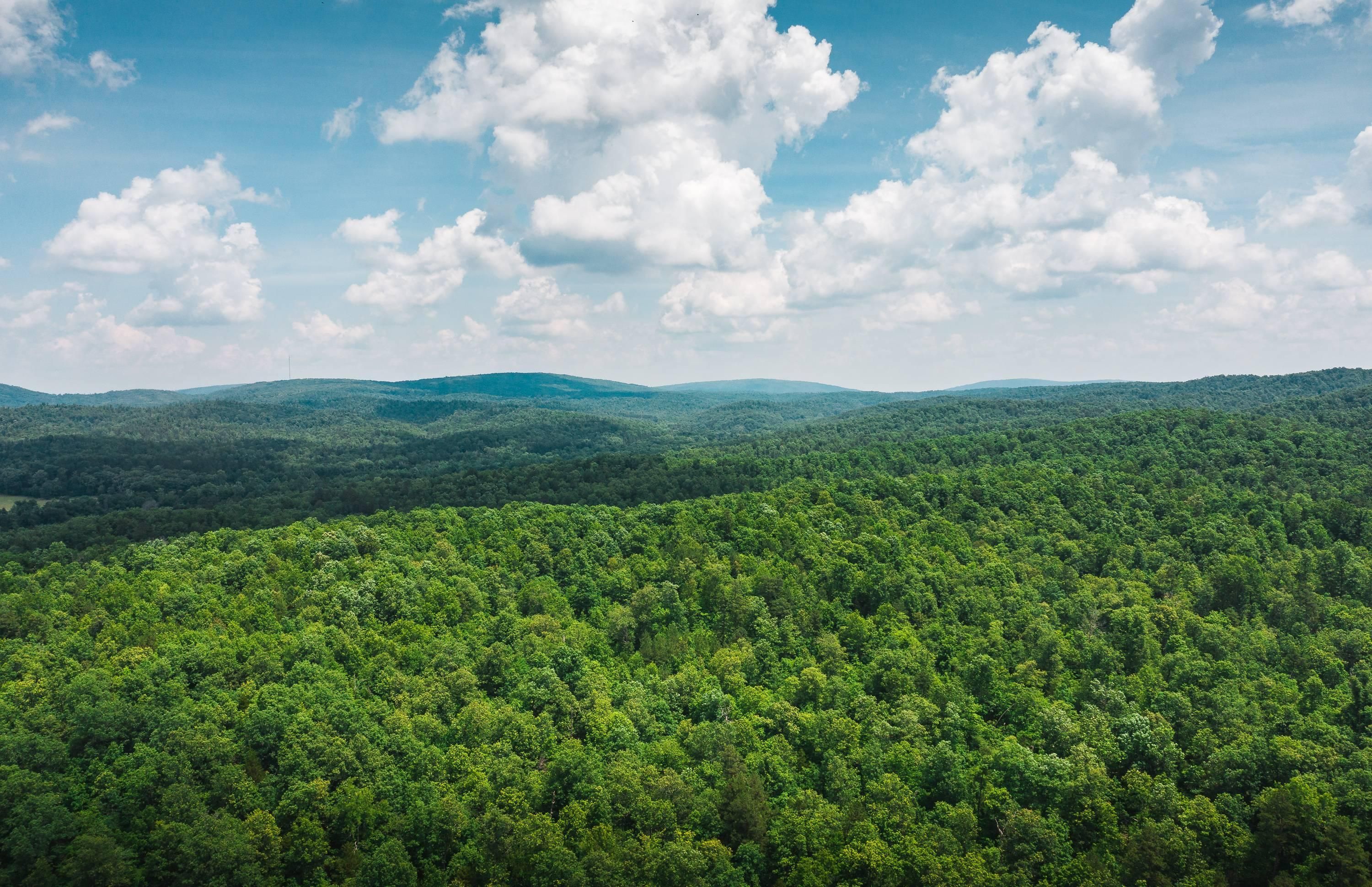 TBD County Road 362, Lesterville, MO 63654